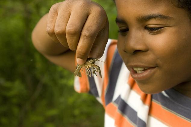 Boy holding a crayfish
